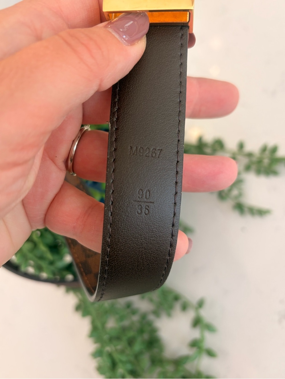 Louis Vuitton Brown Damier Canvas Belt with Gold LV Buckle - Picture 3 of 5